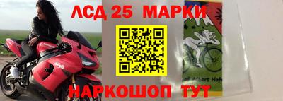 твердый Будённовск