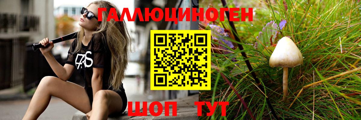 Галлюциногенные грибы MAGIC MUSHROOMS  Псилоцибиновые грибы мицелий  Топки  Вход с VPN 